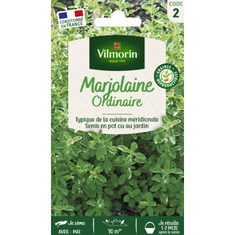 Marjolaine Annuelle Vilmorin