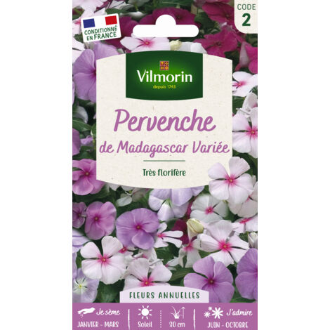 Vilmorin – Pervenche de Madagascar – Graines de fleurs – Fleurs rose, blanc, lilas – Exposition ensoleillée ou mi-ombragée – Ne tolère pas l'humidité excessive (1/2)