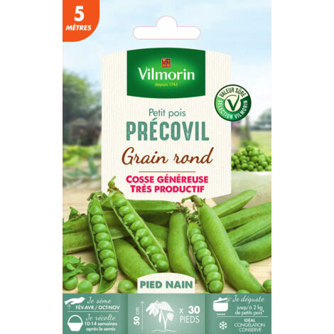 Pois Nain à Grain Rond Précovil - 5 m Vilmorin
