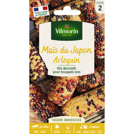 Maïs du Japon Arlequin Vilmorin (1/2)