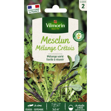 Mesclun Crétois en mélange Vilmorin (1/2)