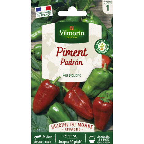 Poivron Padrón – Graines de potager – Piquant maximum 4/10 – Fruits allongés 5 à 8 cm – Pour culture ensoleillée – Vilmorin