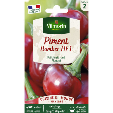 Piment Bomber HF1 - Cuisine du Monde Vilmorin