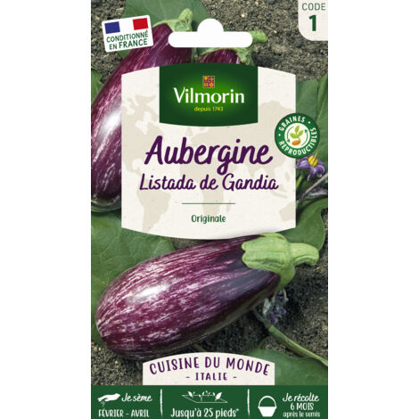 Aubergine Listada de Gandia - Cuisine du Monde Vilmorin (1/2)