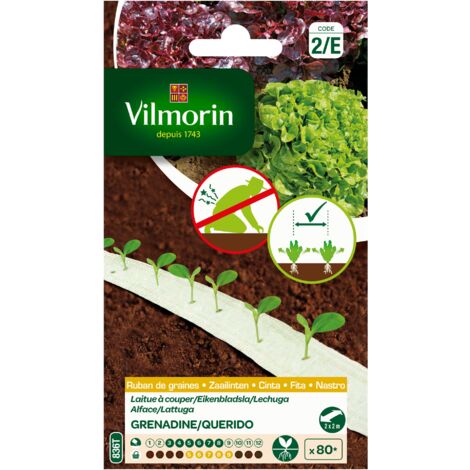 2 Laitues à Couper - Ruban de graines - 4 m Vilmorin