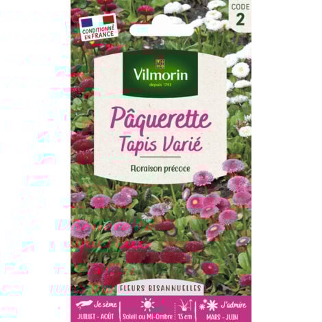 Pâquerette Tapis Varié Vilmorin