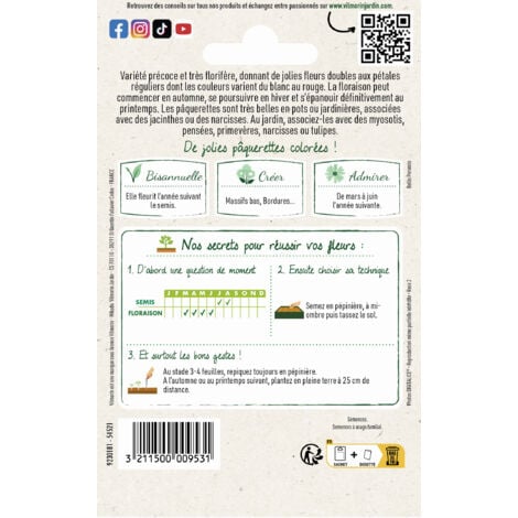 Pâquerette Tapis Varié Vilmorin
