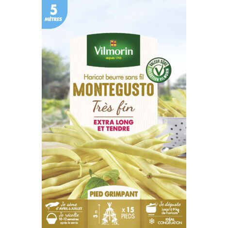 Haricot grimpant beurre monte gusto – Semis en pleine terre – Gousses jaunes de 25 à 30 cm – Rendement jusqu'à 9 kg sur 5 m – Vilmorin