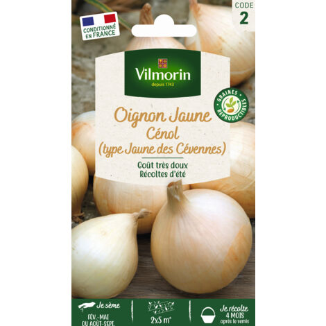 Oignon Cénol type Jaune des Cévennes – Bulbes allongés à chair blanche – Saveur douce – Période de semis printemps/été – Vilmorin