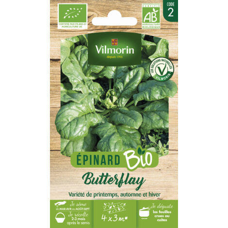Epinard Butterflay - BIO Vilmorin (1/2)