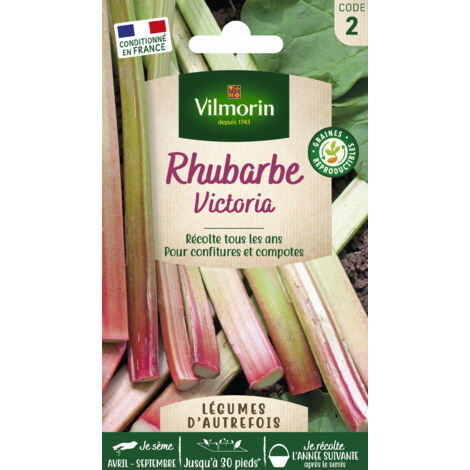 Rhubarbe Victoria – Graines de potager rustiques – Semis en août-septembre – Récolte de juin à septembre – Rendement jusqu'à 10 pieds – Vilmorin (1/3)