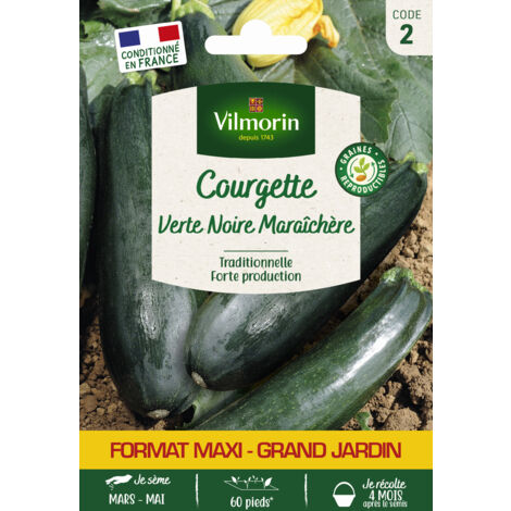 Vilmorin - courgette verte noire maraichère format éco (1/2)