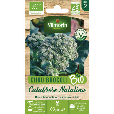 Sachet graines Chou Brocoli Calabrese Natalino BIO (1/2)