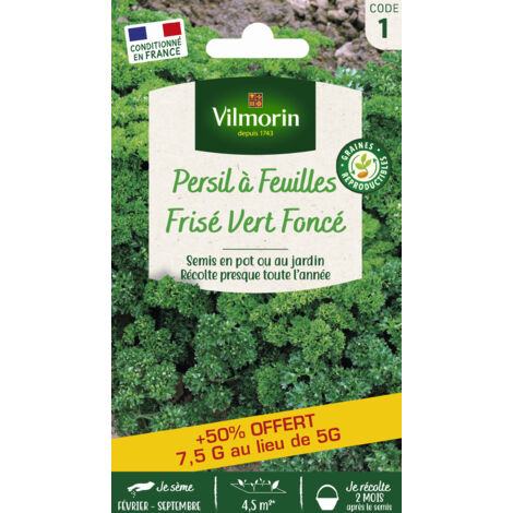 Persil Frisé Vert Foncé + 50% Offert Vilmorin