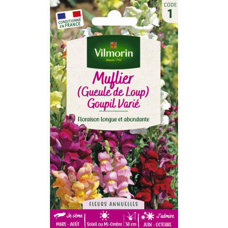 Sachet graines Muflier Gueule de loup Goupil varié