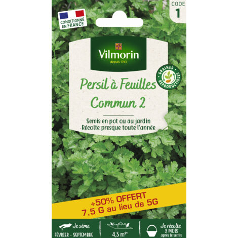Persil Commun 2 + 50% Offert Vilmorin (1/2)