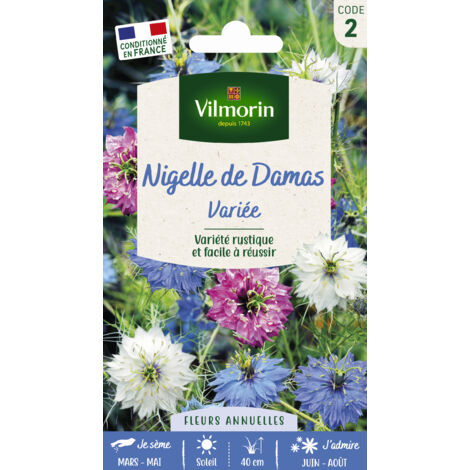 Nigelle de Damas Vilmorin
