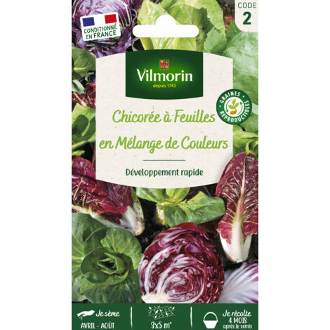 Chicorée à Feuilles en mélange Vilmorin (1/2)