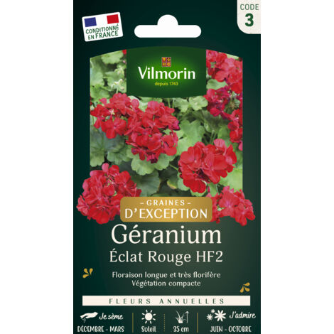 Vilmorin – Géranium éclat rouge HF2 – Graines de fleurs très florifères – Floraison estivale abondante – Coupez les fleurs fanées pour plus de fleurs (1/3)