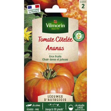 Tomate Ananas - Légumes d'Autrefois Vilmorin (1/2)