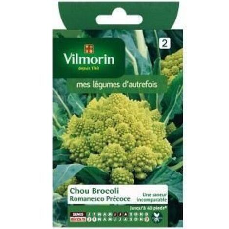 Chou Brocoli Romanesco Précoce - Légumes d'Autrefois Vilmorin