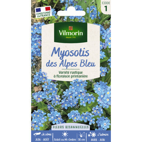 Myosotis des Alpes bleu – Graines de fleurs – Exposition mi-ombre – Semis de juin à août – Hauteur 30 cm – Vilmorin