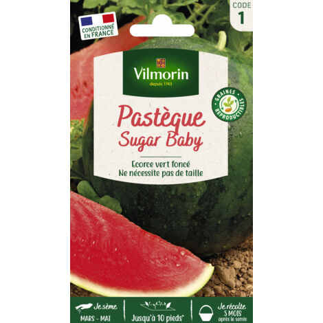 Pastèque Sugar Baby – Semis en mai – Sachet 3g de graines – Récolte en août-septembre – Exposition ensoleillée – Vilmorin