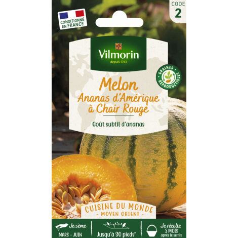 Melon Ananas - Cuisine du Monde Vilmorin