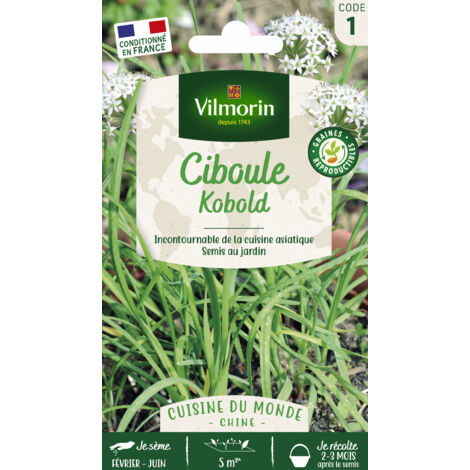 Ciboule de Chine - Cuisine du Monde Vilmorin