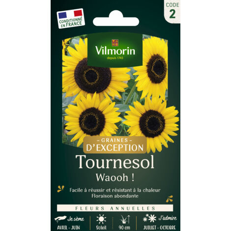 Tournesol Waooh - Graines d'Exception Vilmorin (1/2)
