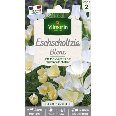 Eschscholtzia Blanc Vilmorin