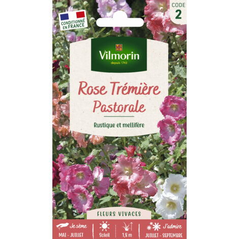 Rose Trémière Pastorale Vilmorin