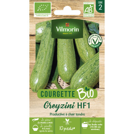 Courgette Greyzini - BIO Vilmorin (1/2)