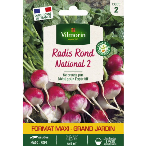 Radis National 2 - Grand Modèle Vilmorin (1/2)