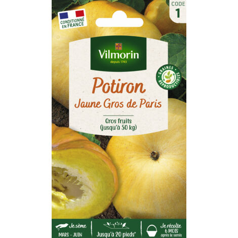 Potiron Jaune Gros de Paris Vilmorin (1/2)