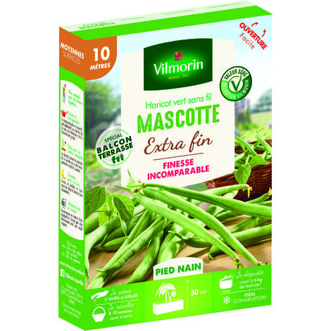 Haricot Nain Vert Mascotte - 10 m Vilmorin (1/3)