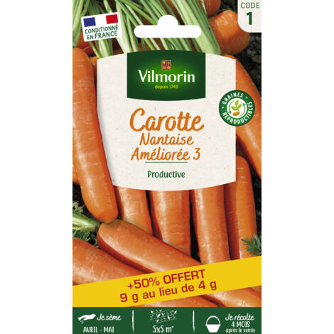 Carotte Nantaise améliorée 3 – Racines demi-longues cylindriques – Excellente productivité – Période de semis printemps/été – Vilmorin