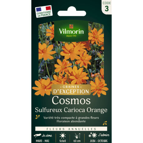Vilmorin - Cosmos Carioca (1/2)