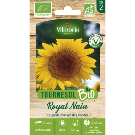 Tournesol Royal Nain - BIO Vilmorin