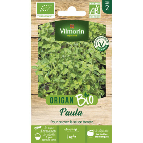 Origan Paula - BIO Vilmorin (1/2)