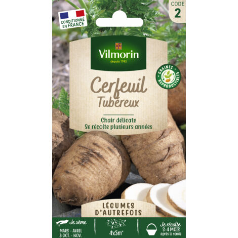 Sachet de graines cerfeuil tubéreux – Semis au printemps – Profondeur de 1,5 cm – Délai d'émergence 2-3 semaines – Pour sol riche et bien drainé – Vilmorin (1/3)
