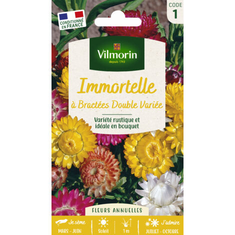 Immortelle à Bractées Double Variée Vilmorin (1/3)