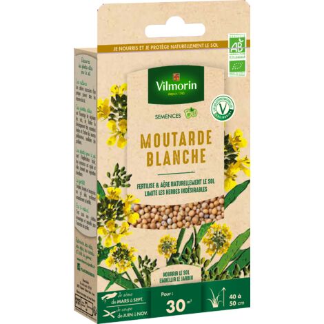 Engrais vert moutarde blanche – BIO – Période de semis de mars à septembre – Limite les mauvaises herbes – Rendement 30 m² – Vilmorin