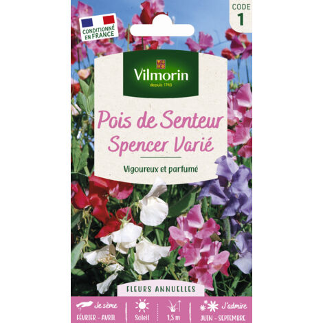 Pois de Senteur Spencer Varié Vilmorin