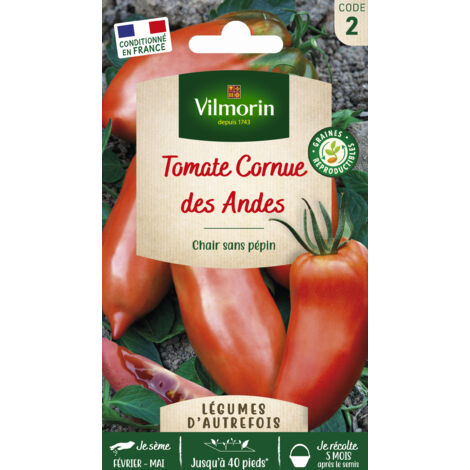 Tomate Cornue des Andes - Légumes d'Autrefois Vilmorin