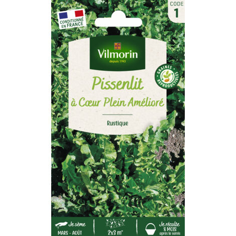 Pissenlit à cœur plein – Graines de potager – Semis de mars à juin – Variété productive pour récolte abondante – Vilmorin