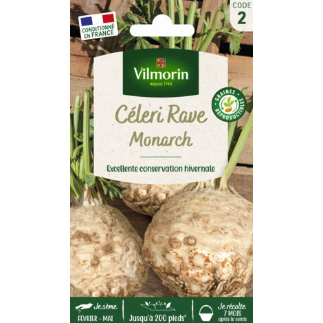 Vilmorin Celerie-Rave Monarch (1/3)