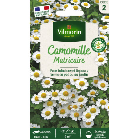 Vilmorin – Camomille ordinaire – Graines de fleurs – Période de semis : printemps – Exposition : ensoleillée – Couleur de fleur : blanche
