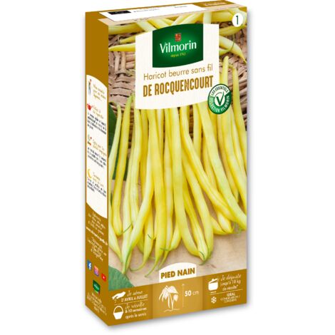 Haricot Nain Beurre de Rocquencourt Vilmorin