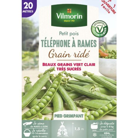 Pois Grimpant à Grain Ridé Téléphone à Rames - 20 m Vilmorin (1/3)
